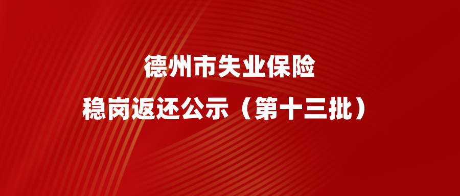 2022年德州市失業保險穩崗返還公示（第十三批）