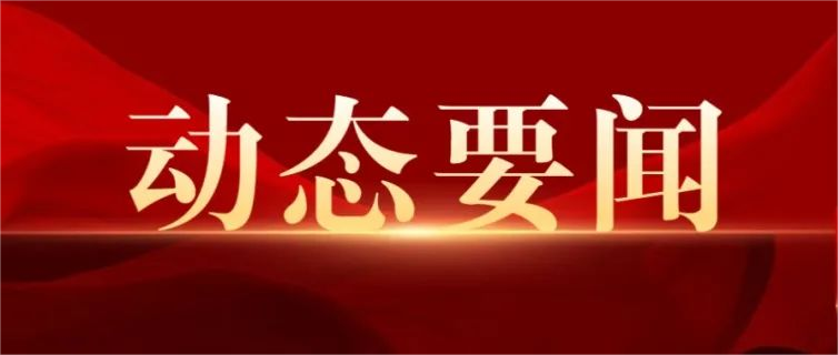 德州市委書記田衛東調研穩就業工作