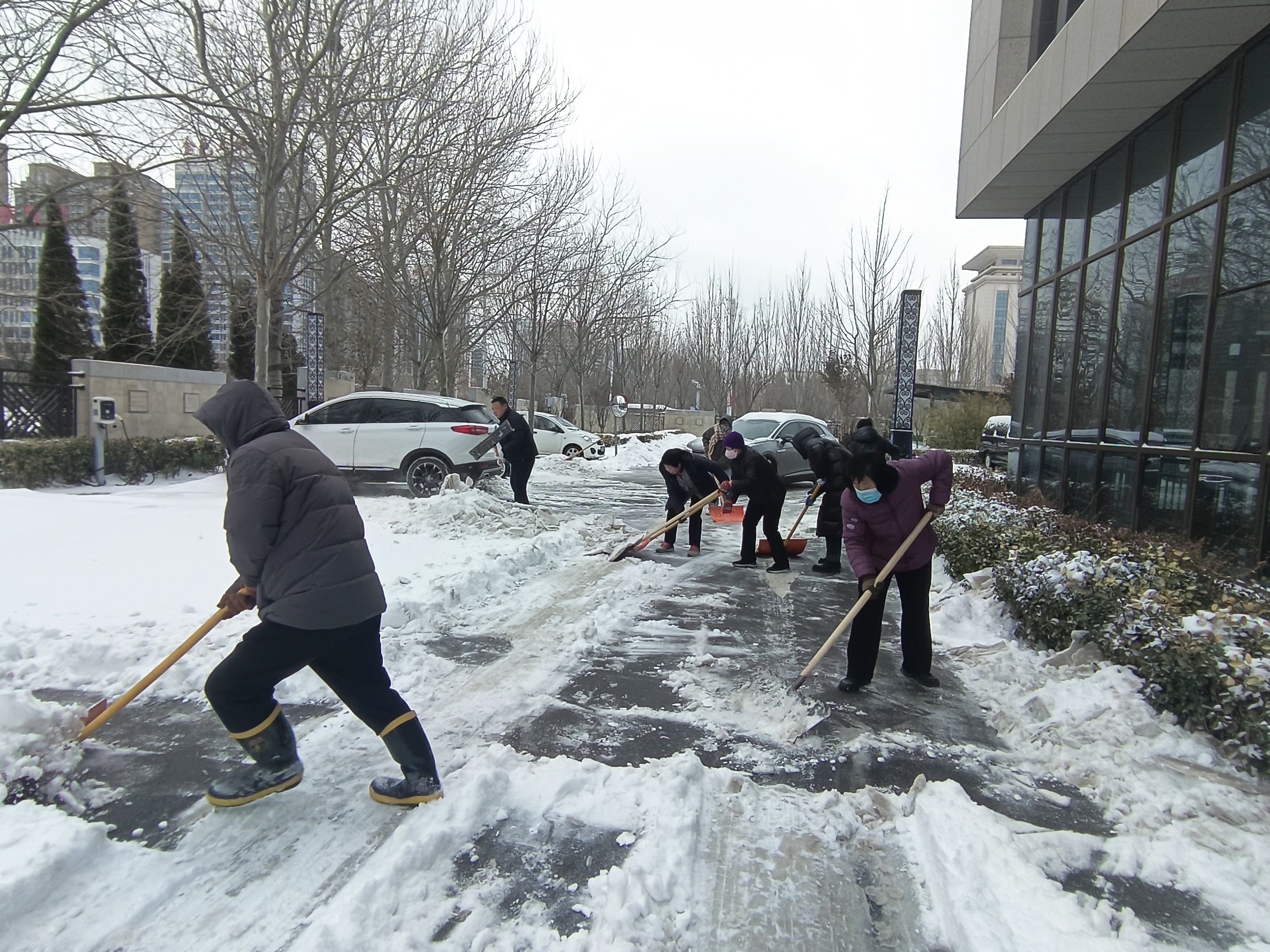 掃雪除冰，暖心護航 | 德州人力資源服務產業園全力掃雪除冰保暢行